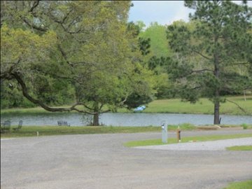 View of lake and trees from RV site.